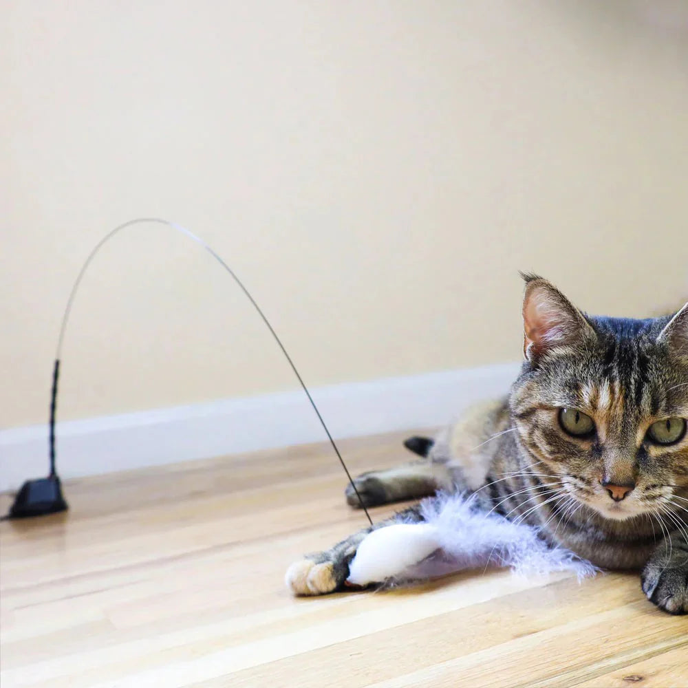 FlutterBird™ – Realistic Bird Simulation Cat Toy