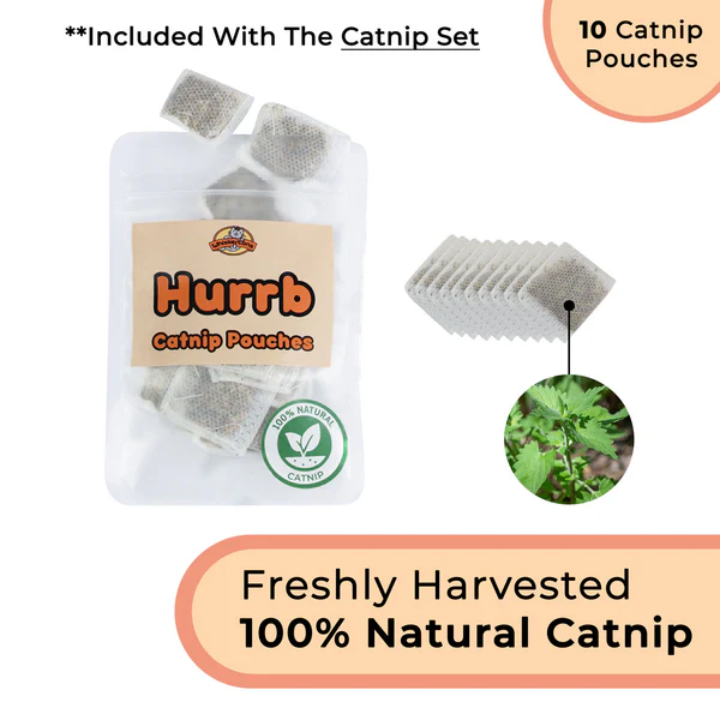 FlutterBird™ – Realistic Bird Simulation Cat Toy