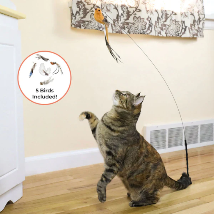 FlutterBird™ – Realistic Bird Simulation Cat Toy